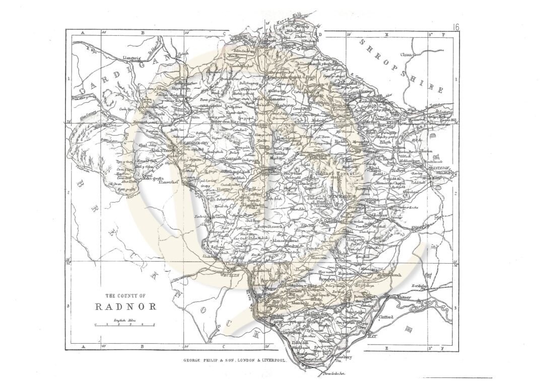 RADNOR -1883