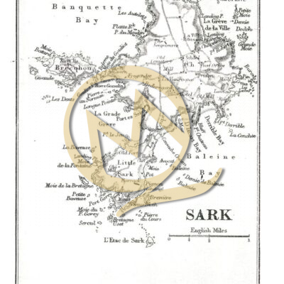 SARK -1901